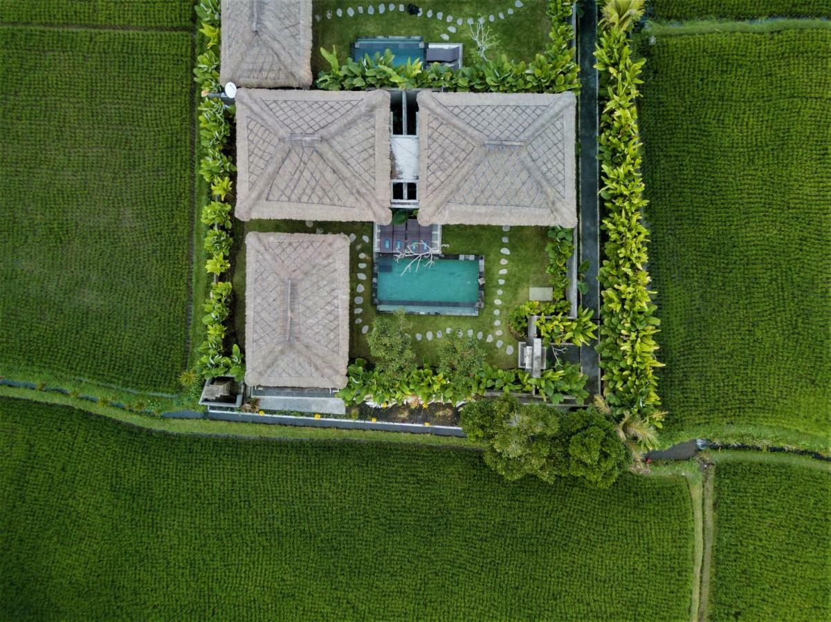 Three Gold Luxury Private Villas Ubud  Bagian luar foto